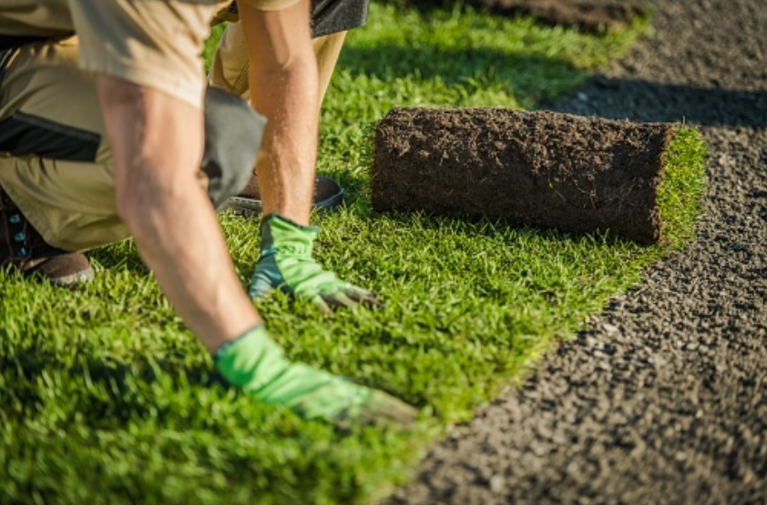 landscaping
